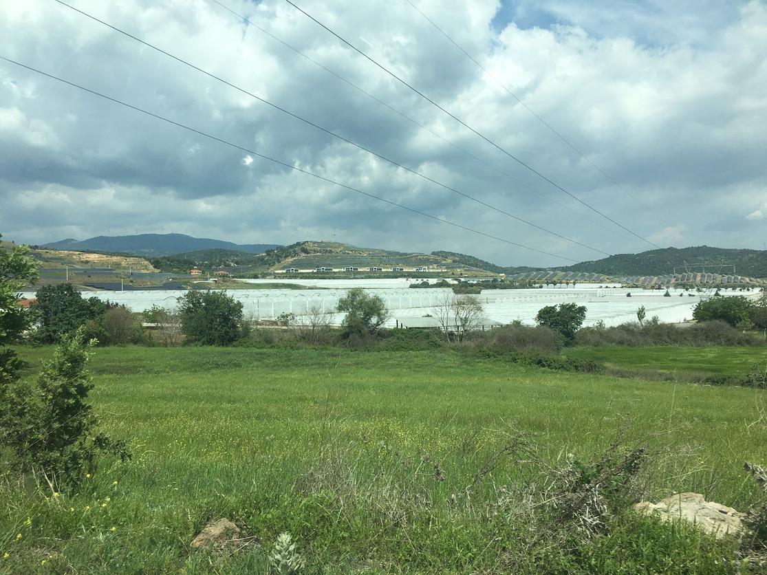 Fields and growing tents